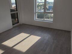 Militari, Iuliu Maniu